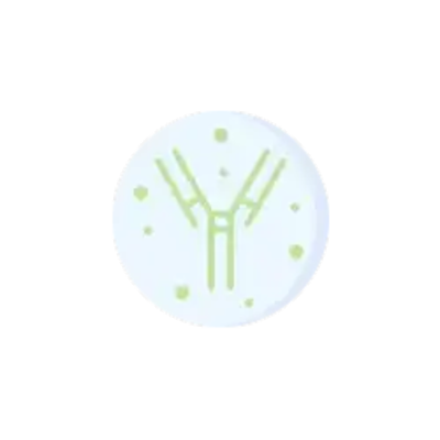 Immunoglobulins