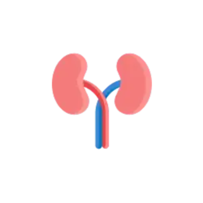Kidney Disease