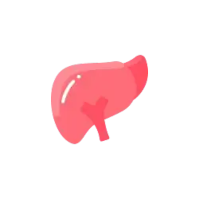 Liver Disease